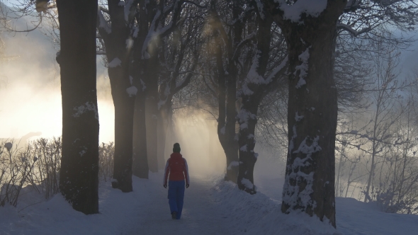 Girl Goes on a Footpath in a Park in To the Mist