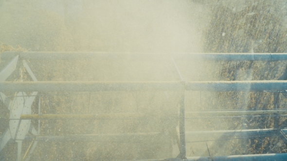 Soybean Combine Harvester alt