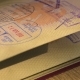 Inside of Passport with Stamps, Thailand, Seychells, Seable Passport Papers - VideoHive Item for Sale