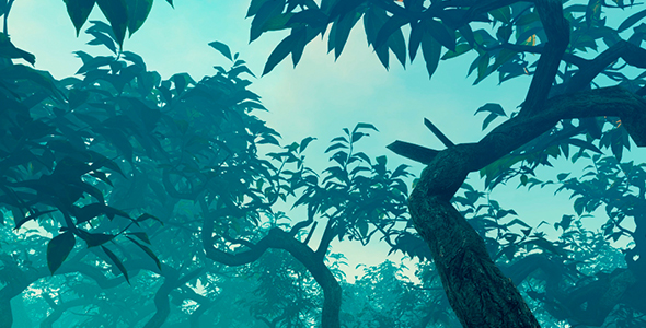 Forest In The Morning Mist alt