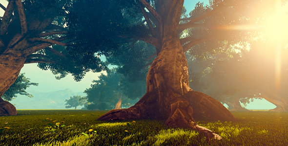 Large Trees In The Forest, Motion Graphics | VideoHive