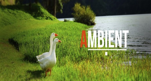 AMBIENT