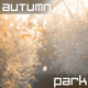 Autumn Park - VideoHive Item for Sale