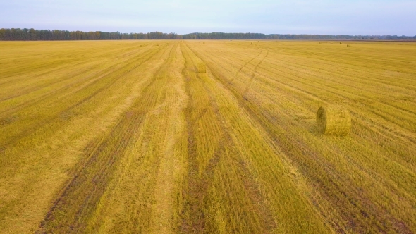 Aerial Views of Dry Land Farming and Cropping in Rissia, Featuring Fields of Meadow Hay, Lucerne