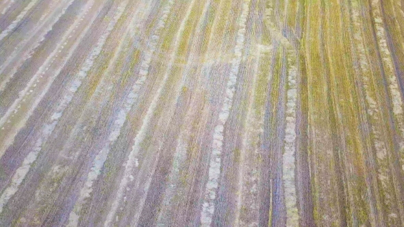 Aerial Views of Dry Land Farming and Cropping in Rissia, Featuring Fields of Meadow Hay, Lucerne