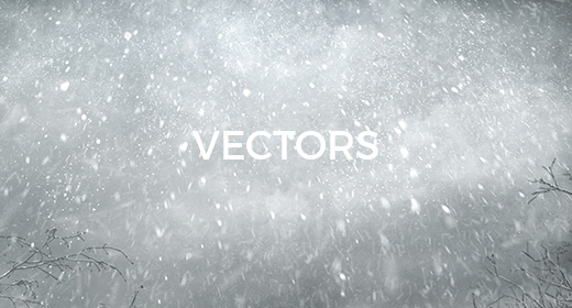 Vectors