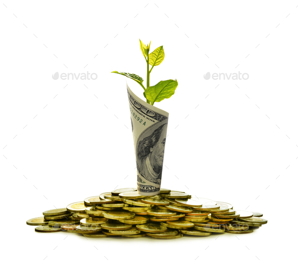 Pile of coins and rolled bank note with plant on top - Stock Photo - Images