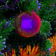 Christmas Tree Rotating  - VideoHive Item for Sale