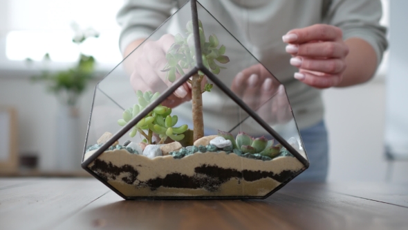 Woman Florist Makes Florarium