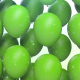 Balloons Balloons - VideoHive Item for Sale
