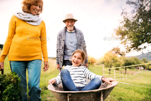 Senior couple with grandaughter gardening in the backyard garden - Stock Photo - Images