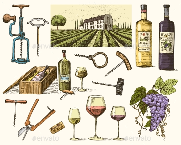 Wine Harvest Products - Food Objects