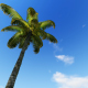 Tropical Heaven - VideoHive Item for Sale