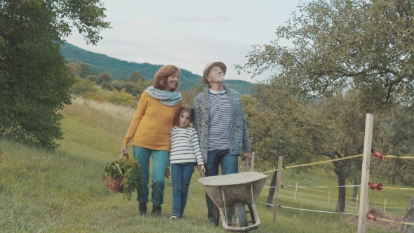 Senior Couple with Grandaughter Gardening in the Backyard Garden. alt