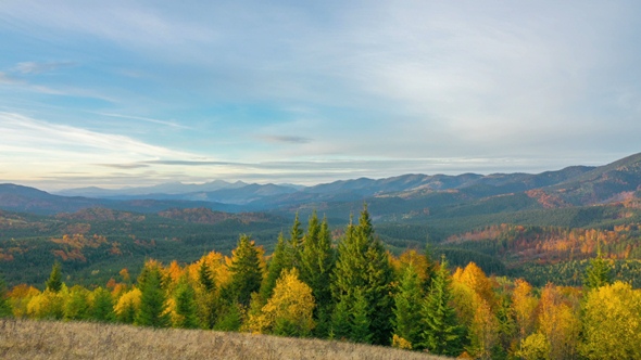 Autumn. The Mountain Forest on the Background of the Sunset alt