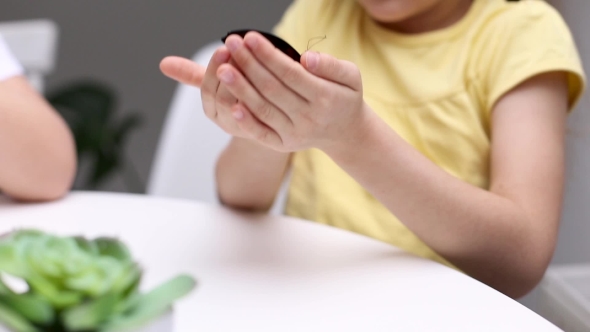 Beautiful Girl Play with Butterfly alt