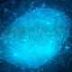 Digital Fingerprint Artificial Intelligence Network Connection Digital Fingerprint Artificial Intelligence Network Connection - VideoHive Item for Sale