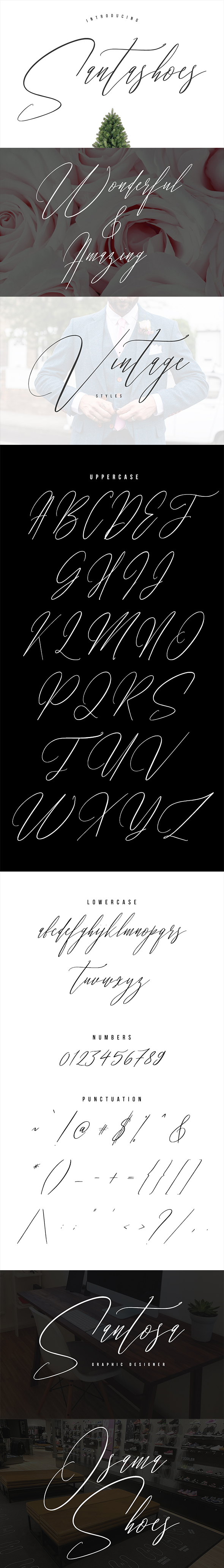 Santashoes Typeface - Calligraphy Script