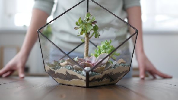 Woman Florist Makes Florarium