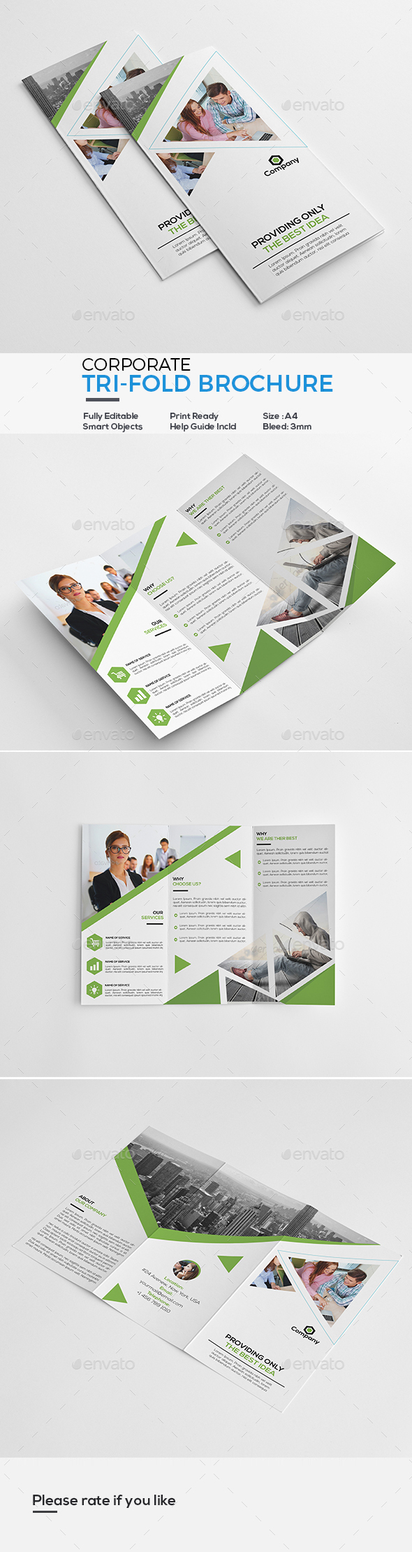 Corporate Tri-Fold Brochure - Corporate Brochures