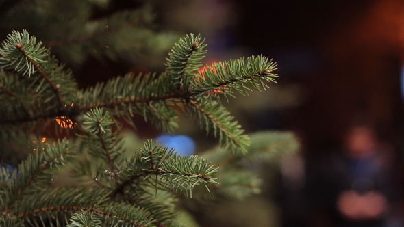 Christmas Fir-tree Branches on the Background Evening Bokeh Illumination