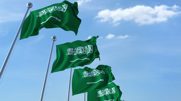 Image result for saudi arabian flag images