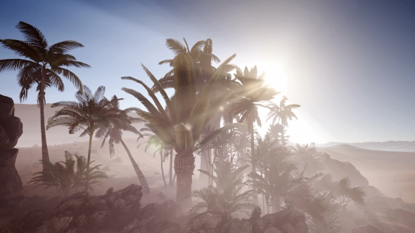 Erg Chebbi Dunes in the Sahara Desert alt