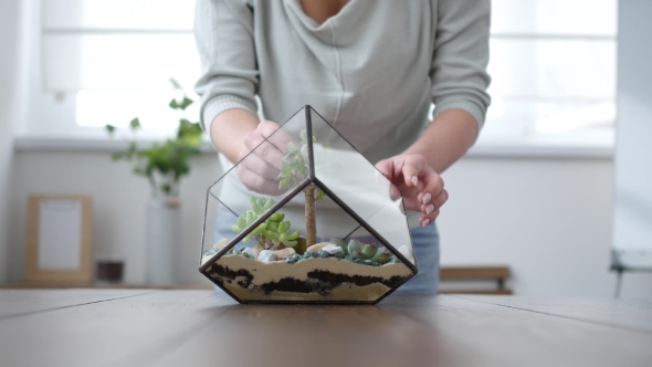 Woman Florist Makes Florarium