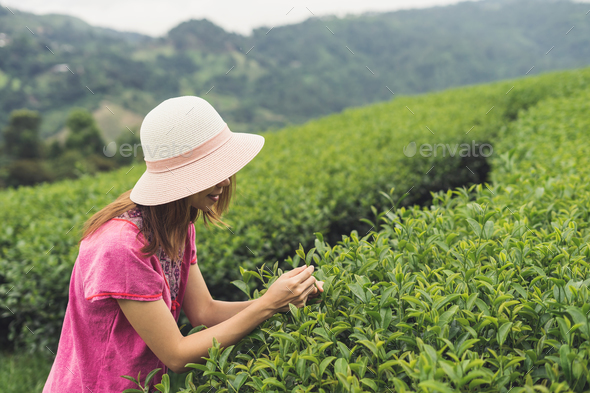 Young asian traveler enjoying tea plantations