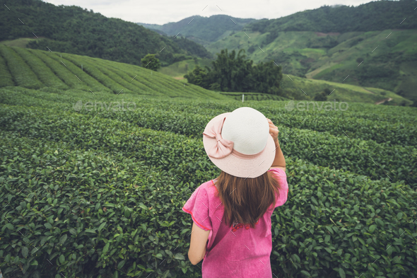 Young asian traveler enjoying tea plantations