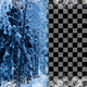 Frosty Frame - VideoHive Item for Sale