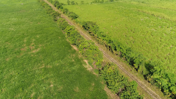 Drone on Train Tracks in the Forest