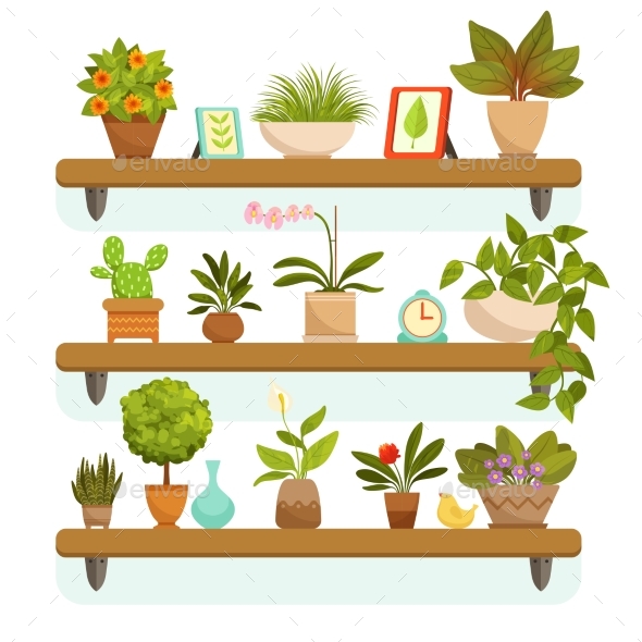Home Plants and Decorative Flowers in Pots - Organic Objects Objects