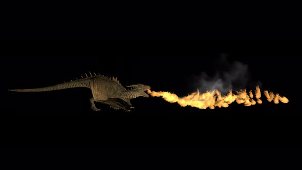 Realistic Dragon Breathes Fire on a Black Background.