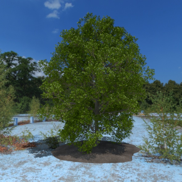3D Tree - 3Docean 21087922