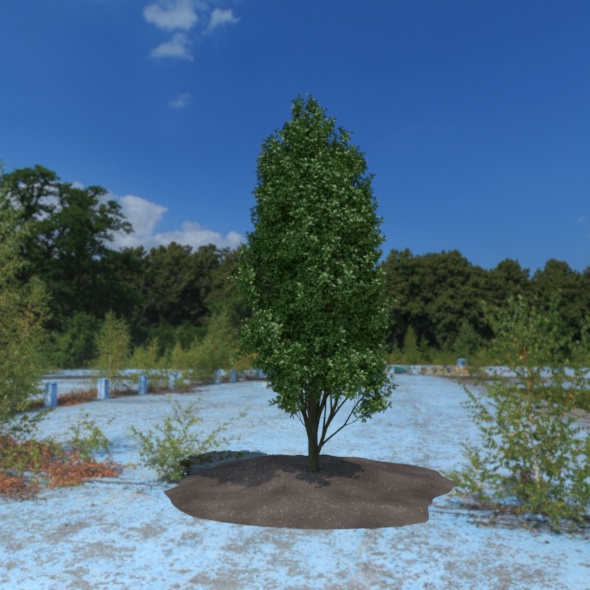 3D Tree - 3Docean 21087935