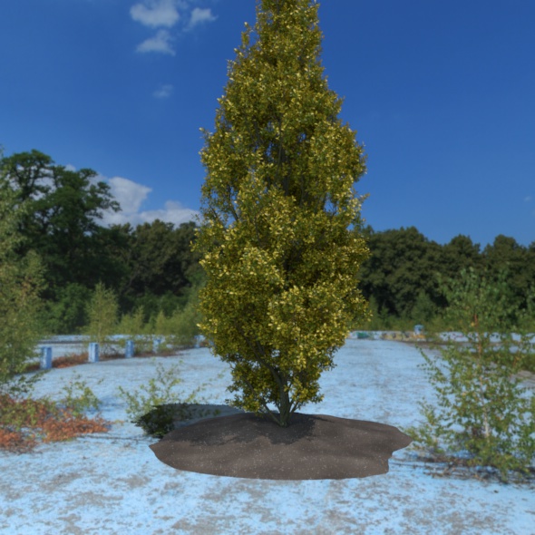 3D Tree - 3Docean 21087949