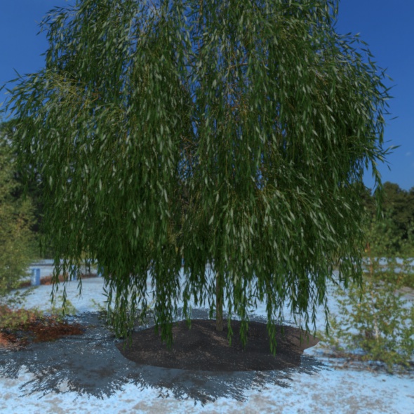 3D Tree - 3Docean 21087954