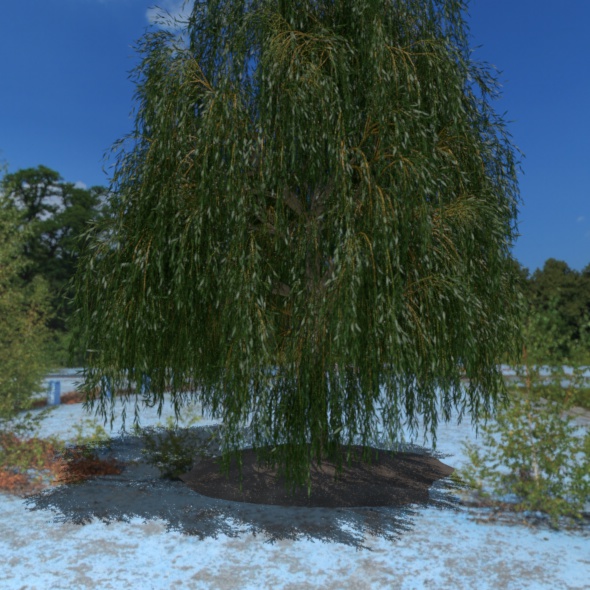 3D Tree - 3Docean 21087956