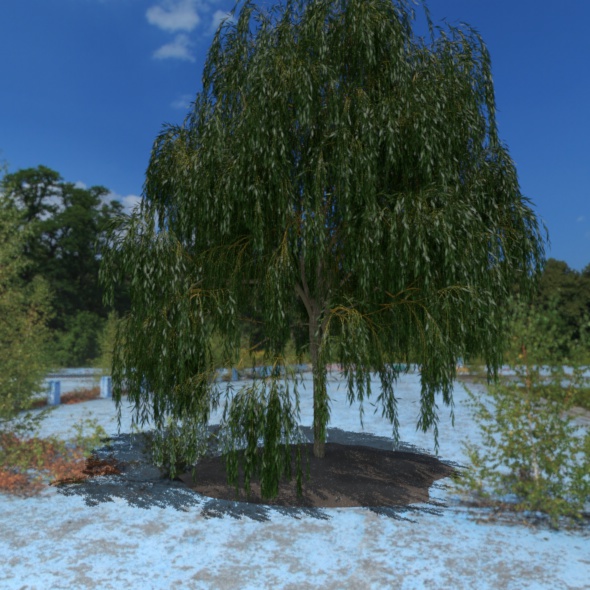 3D Tree - 3Docean 21087963