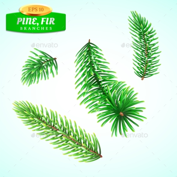 Set of Fir Branches Christmas Tree - Organic Objects Objects