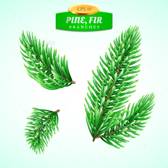 GraphicRiver Set of Fir Branches Christmas Tree 21094317 GraphicRiver Set of Fir Branches Christmas Tree 21094317