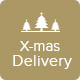 Christmas - Delivery Email Template + Builder Access - ThemeForest Item for Sale