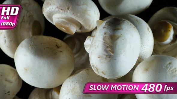 Champignons In The Kitchen alt