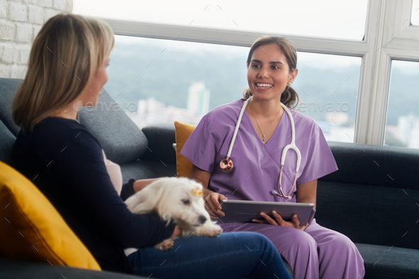 Veterinary With Dog Owner And Pet During Home Visit - Stock Photo - Images