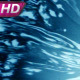 Blue Drops Flow On White - VideoHive Item for Sale