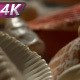 Seashells and Sea Sand - VideoHive Item for Sale