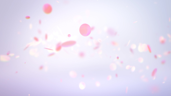 Fuzzy Elegance Particles Background And Overlay V1
