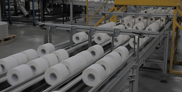 Production Of Toilet Paper