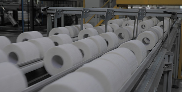 Production of Toilet Paper